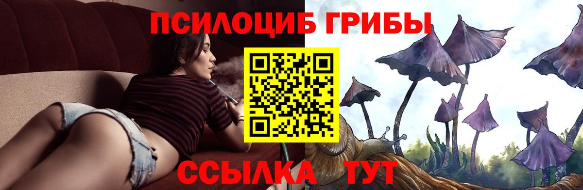 Псилоцибиновые грибы MAGIC MUSHROOMS Котельники